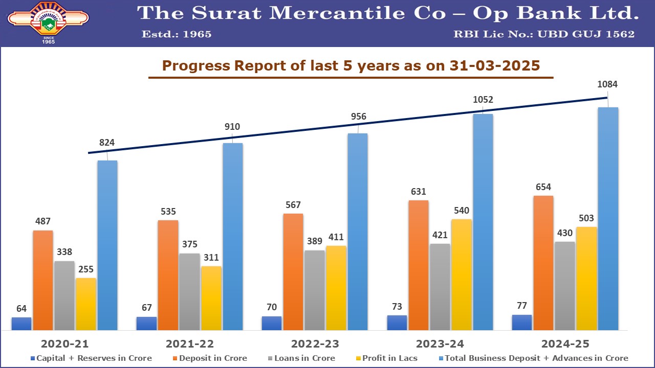Progress Report 2025